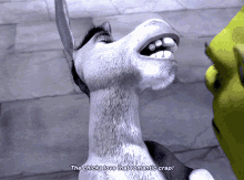 Shrek Donkey GIF - Shrek Donkey The Chicks Love That Romantic Crap GIFs