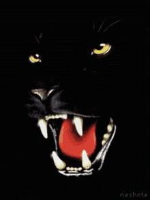 Black Panther Roar GIF - Black Panther Roar GIFs