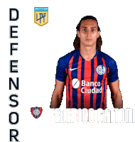 Defensor Federico Gattoni Sticker - Defensor Federico Gattoni Liga Profesional De Fútbol De La Afa Stickers