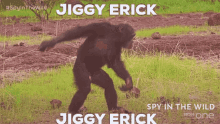 Jiggy Erick Monkey GIF - Jiggy Erick Monkey Dance GIFs