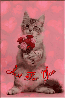 Just For You Cat GIF - Just For You Cat Flowers GIFs