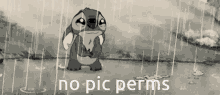 No Pic Perms Discord Pic Perm GIF - No Pic Perms Discord Pic Perm Picture Permission GIFs