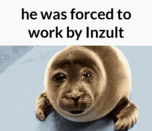 Inzult He Was Forced To Work By Inzult GIF - Inzult He Was Forced To Work By Inzult He Was Forced GIFs