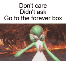 gardevoir dont care didnt ask forever box pokemon