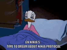 Ninja Ninja Protocol GIF - Ninja Ninja Protocol Goodnight GIFs