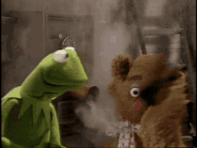 Muppets Running Gag GIF - Muppets Running Gag Joke GIFs