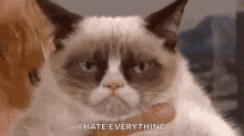 Grumpy Cat I Hate Everything GIF - Grumpy Cat I Hate Everything Hater GIFs