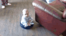 3 GIF - Roomba Baby Vacuum GIFs