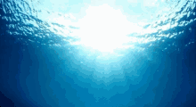 Ocean Light GIF - Ocean Light Underwater GIFs