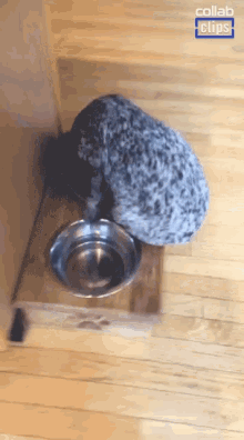 Dog Food Bowl Dog Feeding GIF - Dog Food Bowl Dog Food Dog Feeding GIFs