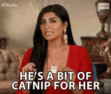 hes a bit of catnip for her attractive appealing asa soltan rahmati shahs of sunset