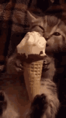 Chocolate Ice Cream Cone Vanilla GIF - Chocolate Ice Cream Cone Vanilla GIFs