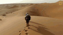Desert Primal Survivor5 GIF - Desert Primal Survivor5 Survival Skills GIFs