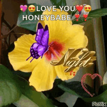 Love You Yellow Flower GIF - Love You Yellow Flower Butterfly GIFs