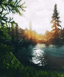 lake water lake water