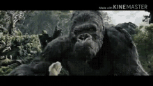 King Kong Save Human GIF - King Kong Save Human Kong Battles The T Rexes GIFs