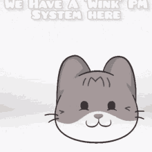 Cat Wink GIF - Cat Wink Bants GIFs