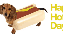 Happy Hot Dog Day GIF - Dog Hotdog Happy Hot Dog Day GIFs