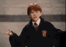 Harry Potter Rupert Grint GIF - Harry Potter Rupert Grint Ron Weasley GIFs