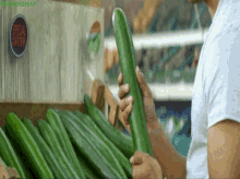 Cucumber Seductive GIF - Cucumber Seductive Lewd GIFs