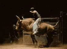 Rodeo Bull GIF - Rodeo Bull Bullrider GIFs