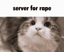 rape server rape server
