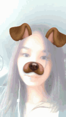 Snappy Filter GIF - Snappy Filter Dog Filter GIFs