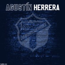 Agustín Herrera Gol GIF - Agustín Herrera Gol GIFs