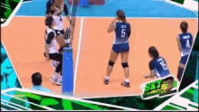 ustwvt volleyball womens ustwvt volleyball womens