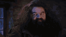 Wazard Hagrid GIF - Wazard Hagrid Harry Potter GIFs
