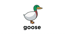 Polo Goose GIF - Polo Goose Polo Goose GIFs