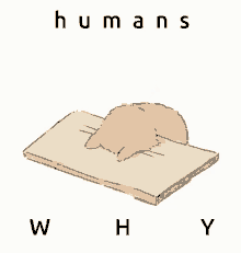 Humans Why GIF - Humans Why Oh GIFs