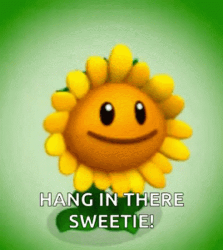 Sunflower Glow GIF - Sunflower Glow Hang In There Sweetie GIFs