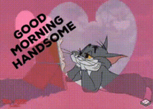 love handsome good morning tom and jerry tom the cat