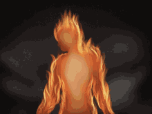Flame Person GIF - Flame Person Wildfire GIFs
