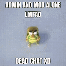 dead chat discord admin discord mod discord mods