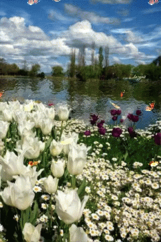 Spring Nature GIF - Spring Nature Butterflies - Discover & Share GIFs