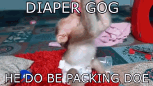 gog diaper gog gog diaper dipper gog gog dipper