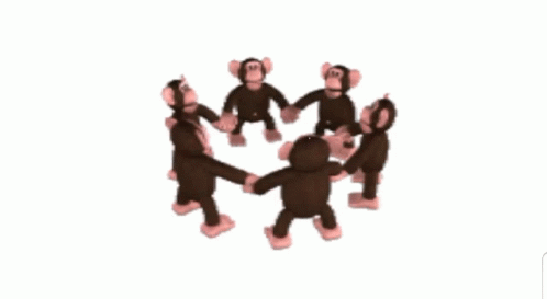 monkey-circle.gif
