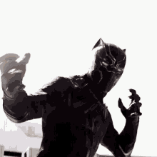 Avengers Black Panther GIF - Avengers Black Panther Wakanda GIFs