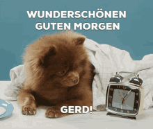 Guten Morgen Gerd Good Morning GIF - Guten Morgen Gerd Good Morning Cute GIFs