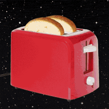 Toast Space GIF - Toast Space Cat GIFs