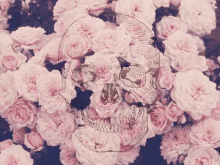 roses skull rose flashy