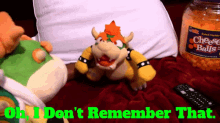 sml bowser oh i dont remember that i dont remember dont remember