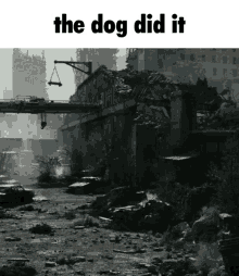 What The Dog Doin He Did It GIF - What The Dog Doin He Did It Apocalypse GIFs