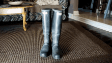 You’ve Already Started Shopping For The Perfect Pair Of Fall Boots. GIF - Cat Kitty Kitten GIFs