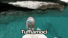 Mi Tuffo Tuffarsi Tuffiamoci Cane Che Si Tuffa GIF - To Plunge To Go Under Wate Dog Plunging GIFs
