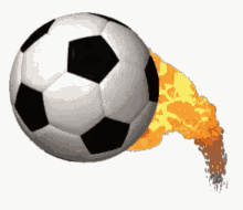 Soccer Goal Goalie GIF - Soccer Goal Goalie GIFs