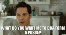 Knocked Up Pete GIF - Knocked Up Pete What Do You Want Me To Do GIFs