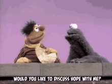 Discuss Hope Sure Why Not GIF - Discuss Hope Sure Why Not Sesame Street GIFs